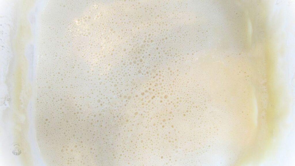 aktywny łatwy zakwas na wypieki