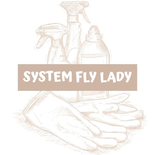 organizacja wg systemu fly lady