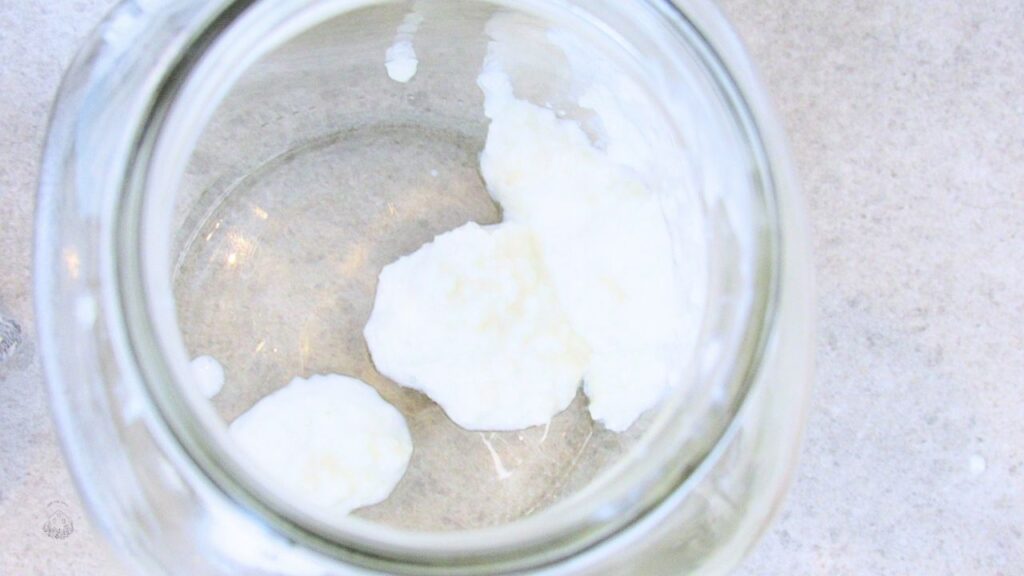 ziarna na kefir w słoiku