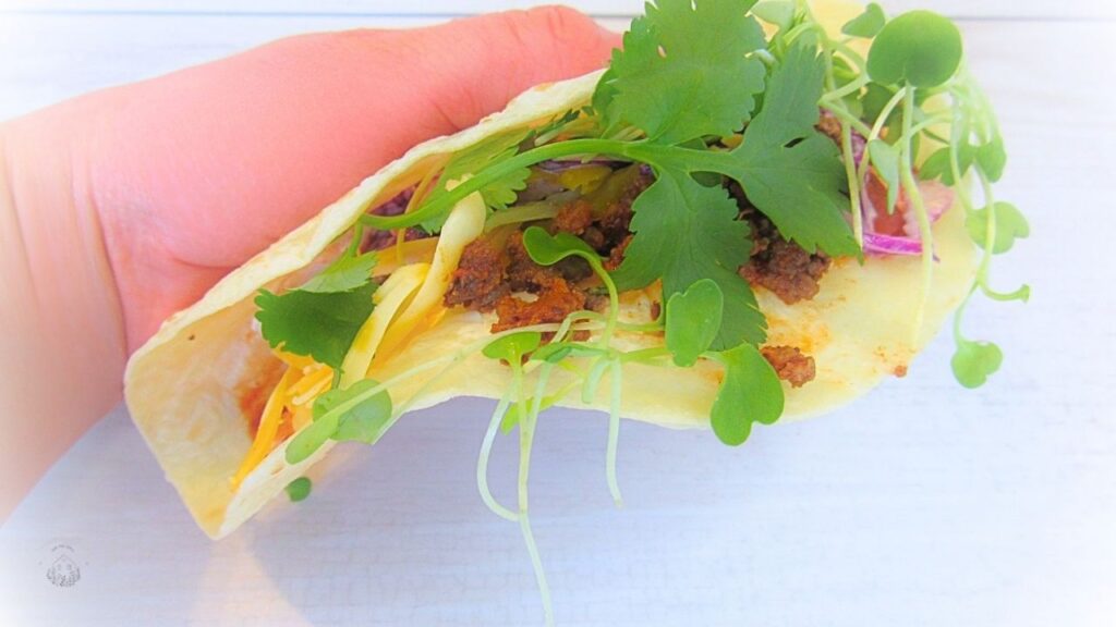 ręka trzymająca gotowe tacos