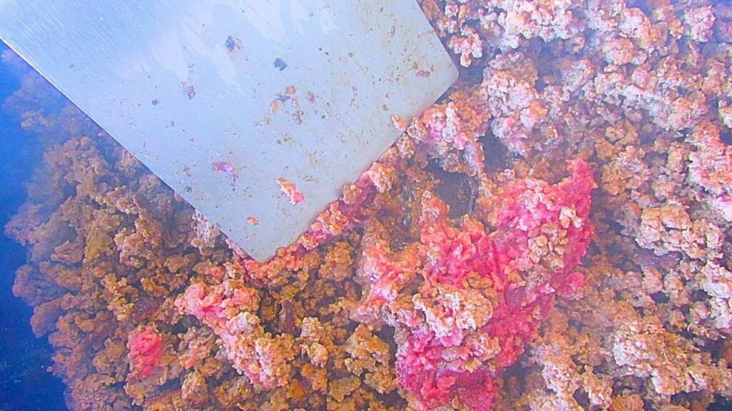 smażone mięso mielone na tacosy