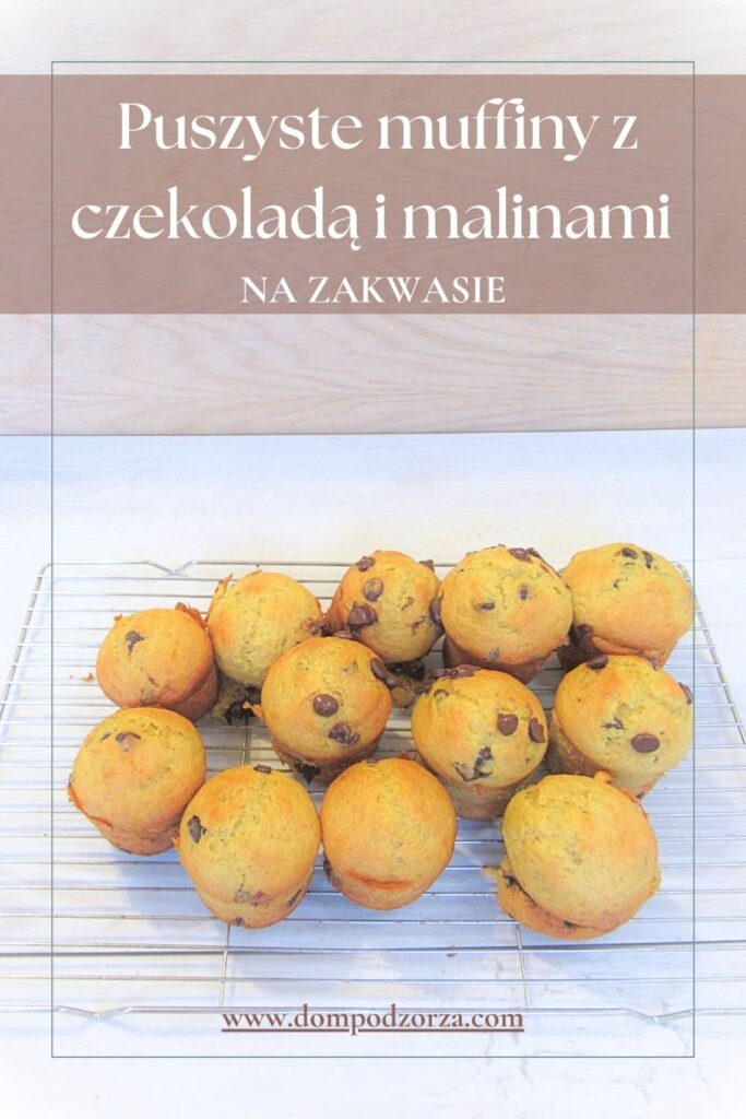 gotowe puszyste muffiny z czekoladą i malinami na zakwasie na kratce do studzenia PIN