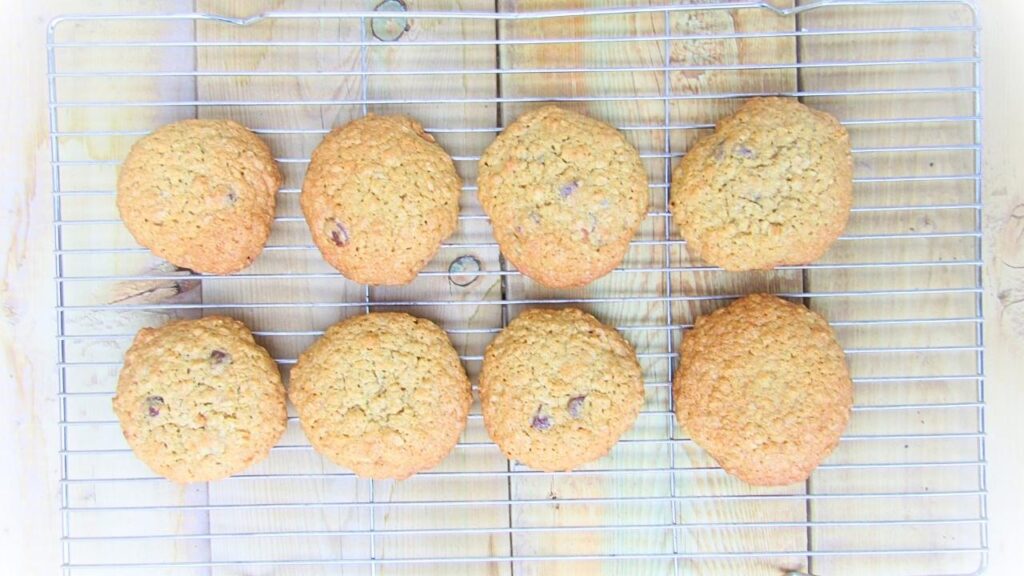 ciastka owsiane z czekoladą i żurawiną lub rodzynkami na kratce