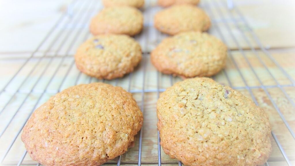 ciastka owsiane z czekoladą i żurawiną lub rodzynkami na kratce