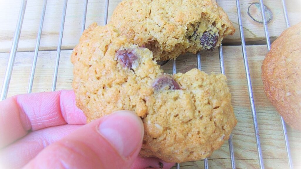 ciastko owsiane złamane w ręce