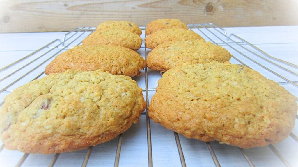 ciastka owsiane z czekoladą i żurawiną lub rodzynkami na kratce