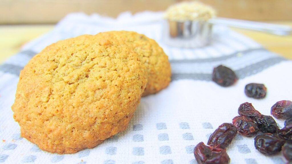 ciastka owsiane z czekoladą i żurawiną lub rodzynkami a w tle płątki owsiane i żurawina