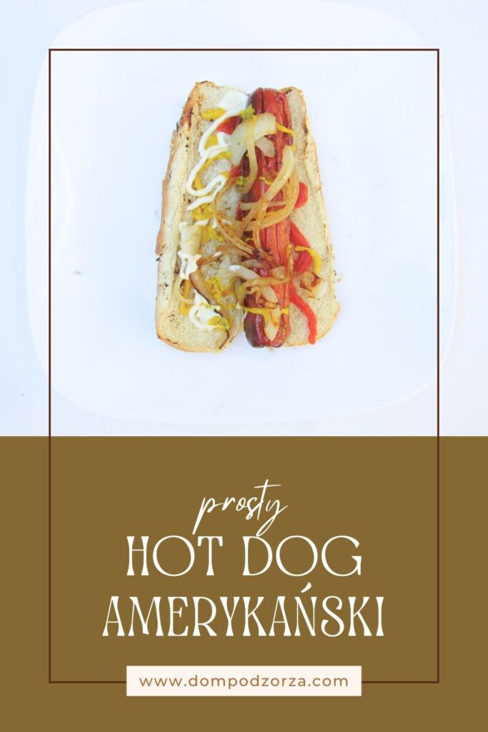 hot dog amerykański pin