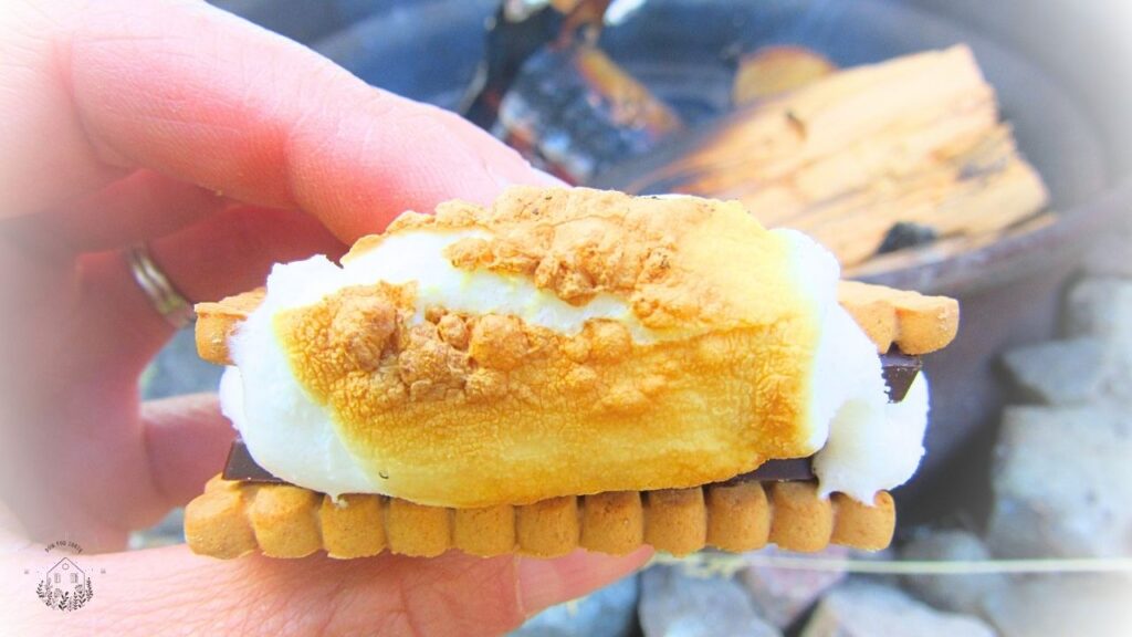 S'mores amerykańskie trzymane w ręce