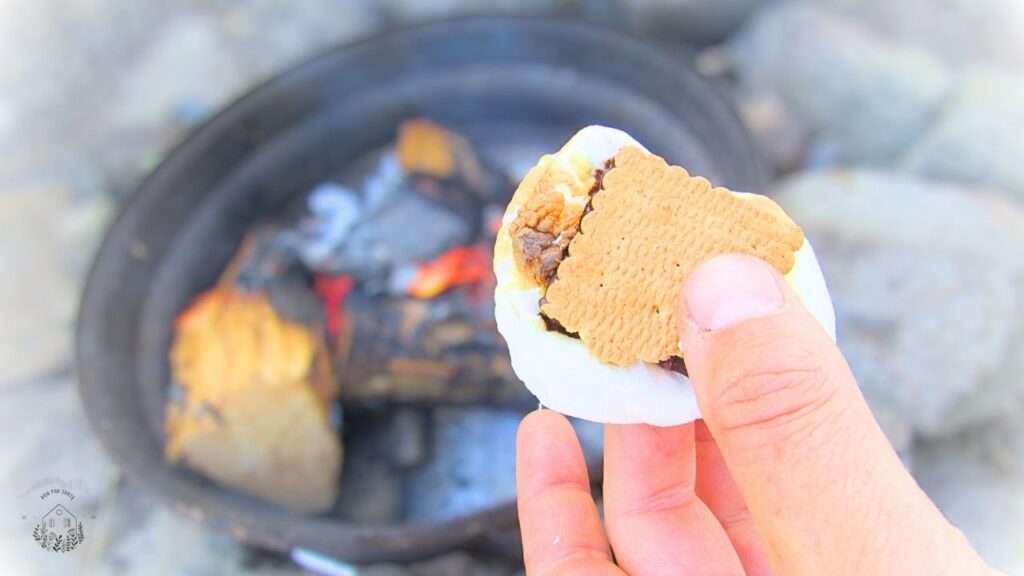 ręka trzymająca s'mores a w tle ognisko